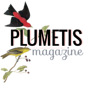 Plumetis magazine - Chou du Volant